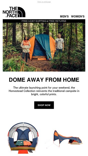 the north face homestead super dome 4