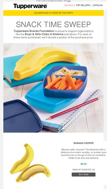 Snack Time Solutions - Tupperware Email Archive