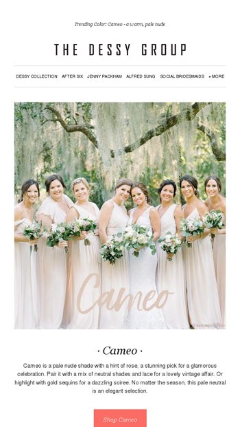 Dessy Cameo Bridesmaid Dresses