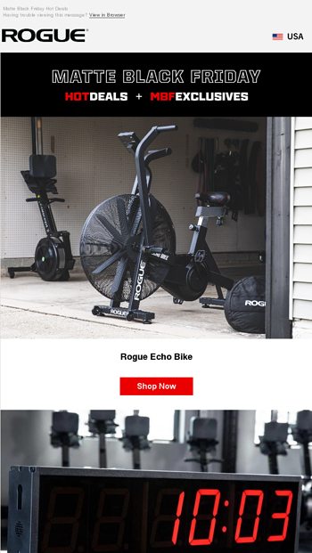 rogue echo bike for sale