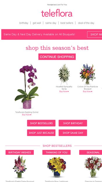 Browsing Teleflora Blooms