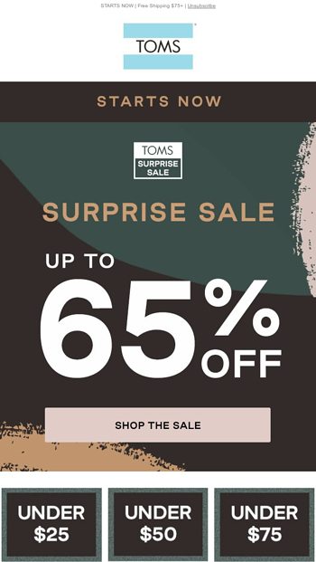 toms surprise sale code