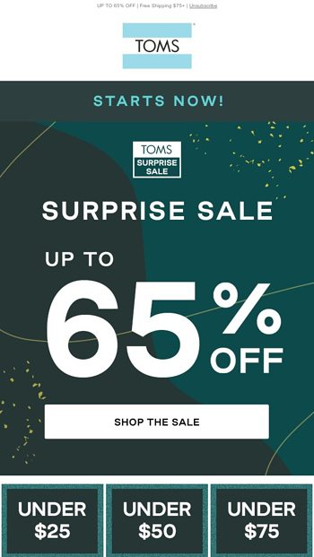 toms surprise sale