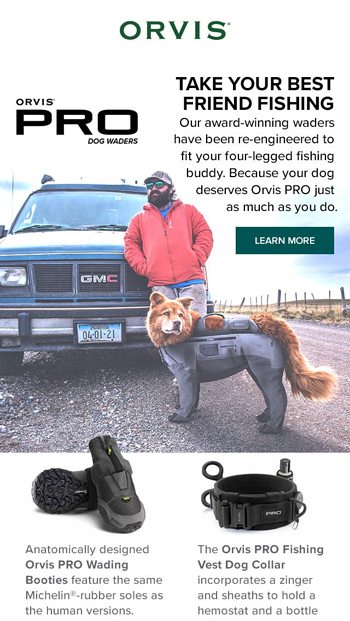 Best sales fishing dogs