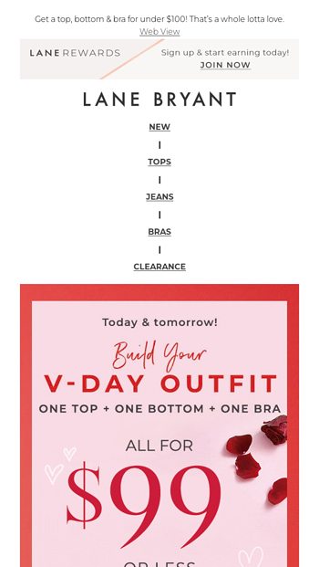 Lane Bryant Email Newsletters
