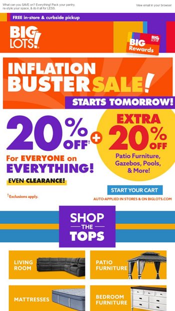 20% OFF everything starts tomorrow! - Big Lots Email Archive