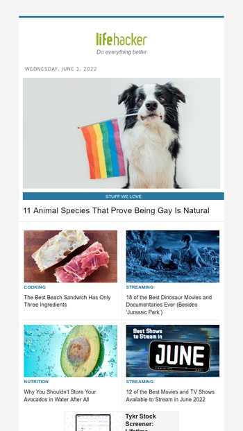 gay newsletters by email