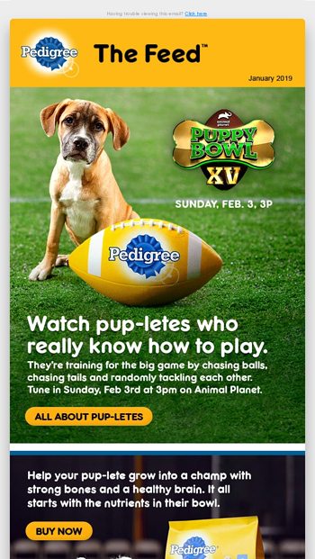 Pedigree 2025 puppy bowl