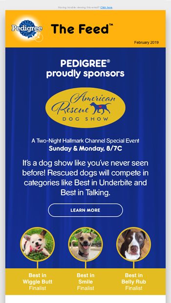 what is the american rescue dog show