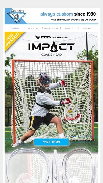 NEW ECD Impact Goalie Head amp Mesh