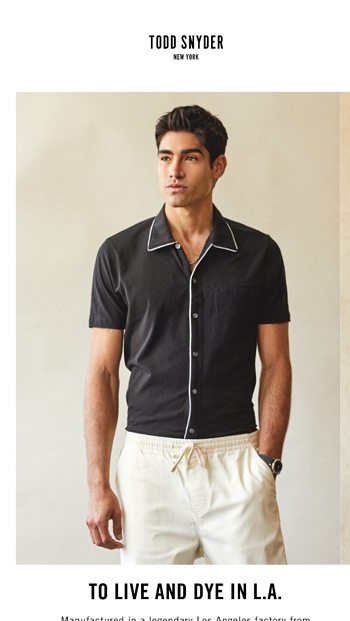 Find Your Perfect Polo